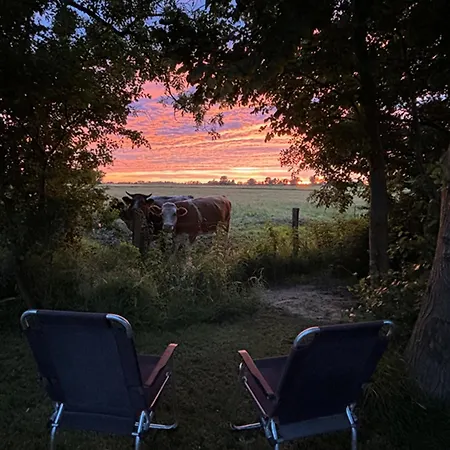 Appartement Blikhus Oldenswort