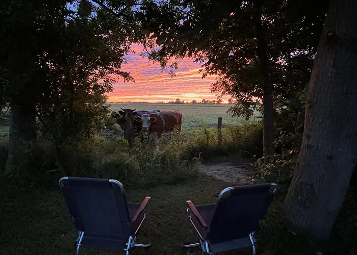 Appartement Blikhus Oldenswort